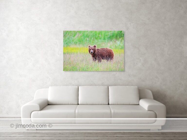 Fine art photo print example in living room