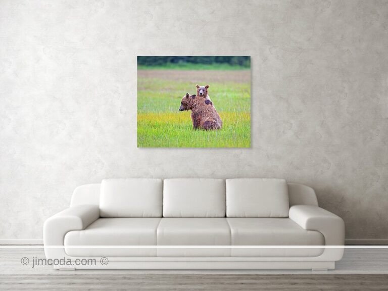 Fine art photo print example in living room