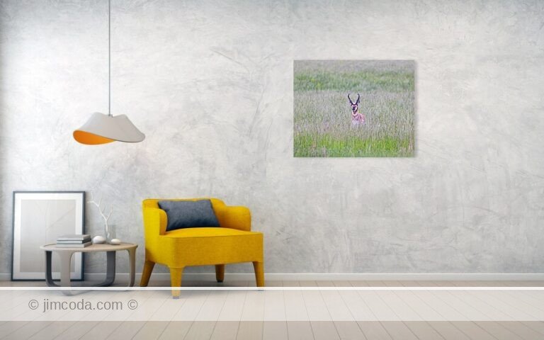 Fine art photo print example in living room