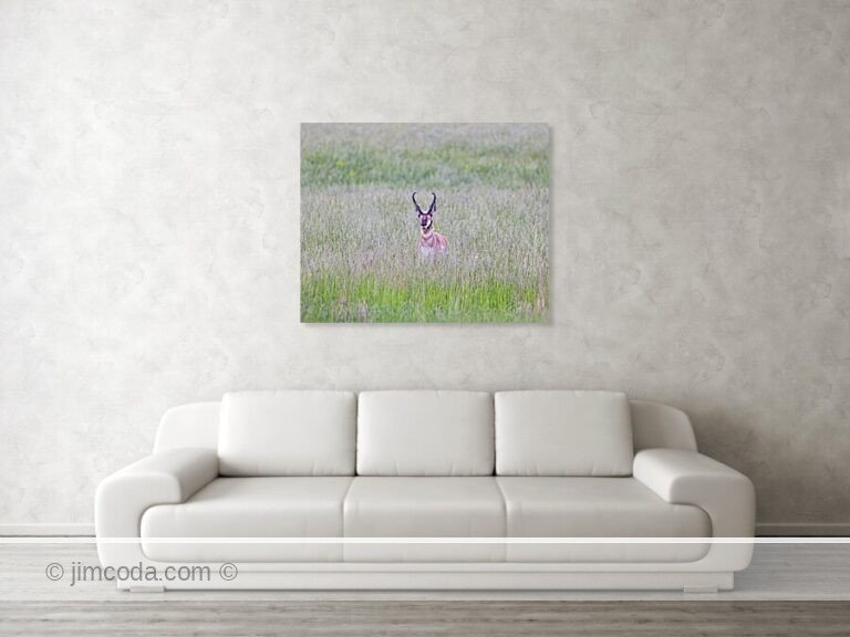 Fine art photo print example in living room