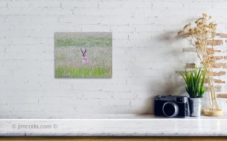 Fine art photo print example in living room