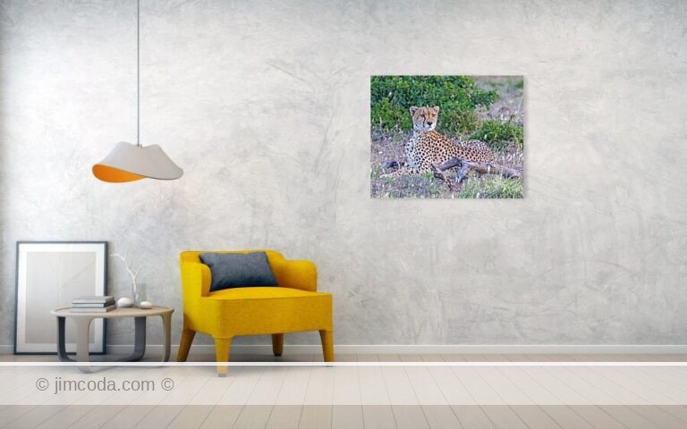 Fine art photo print example in living room