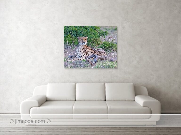 Fine art photo print example in living room