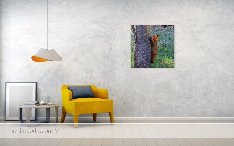 Fine art photo print example in living room
