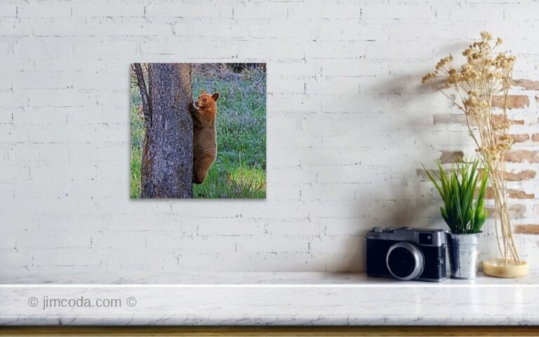 Fine art photo print example in living room