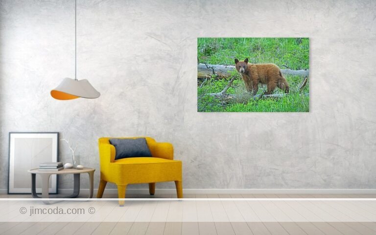 Fine art photo print example in living room