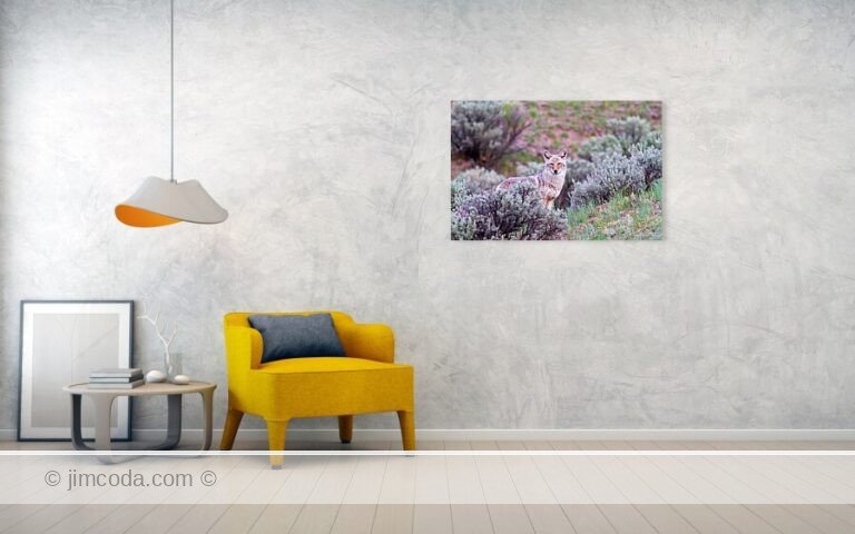 Fine art photo print example in living room