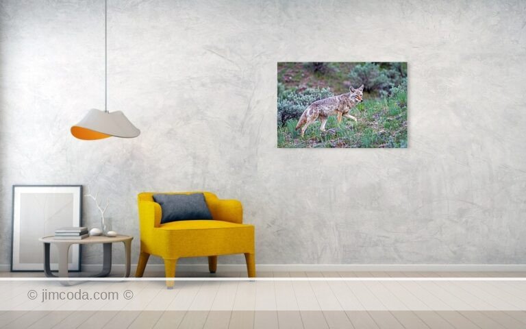 Fine art photo print example in living room