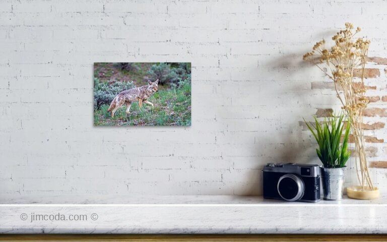 Fine art photo print example in living room