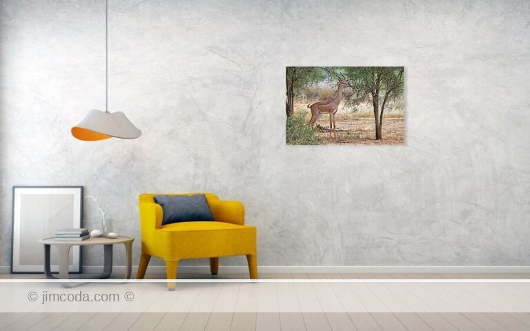 Fine art photo print example in living room