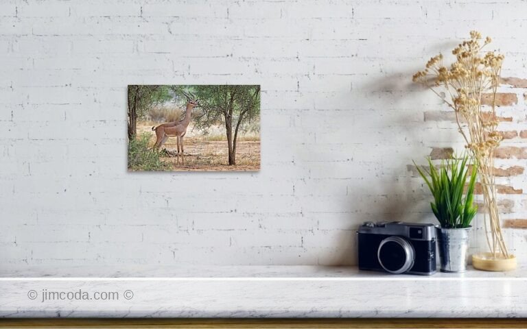 Fine art photo print example in living room