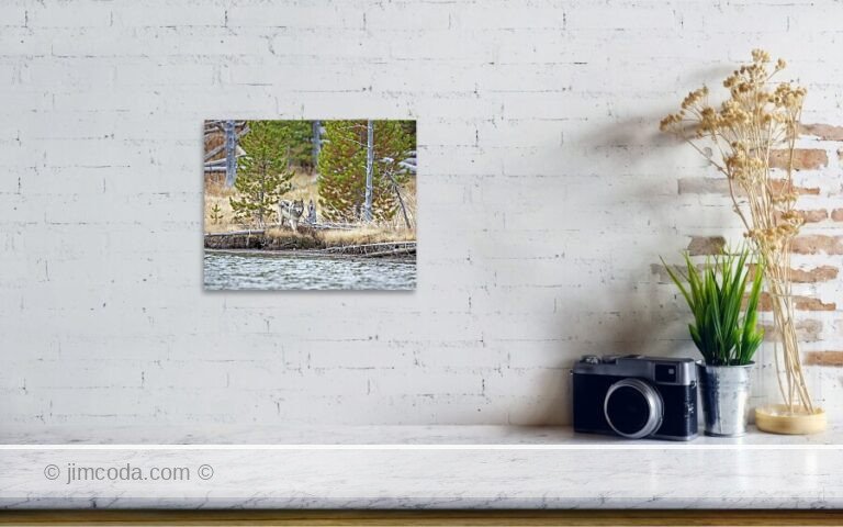 Fine art photo print example in living room
