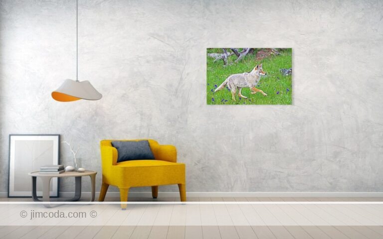 Fine art photo print example in living room