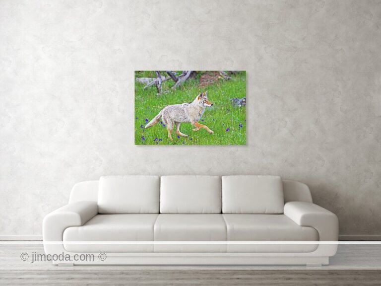Fine art photo print example in living room