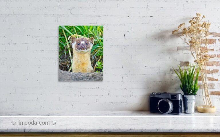 Fine art photo print example in living room