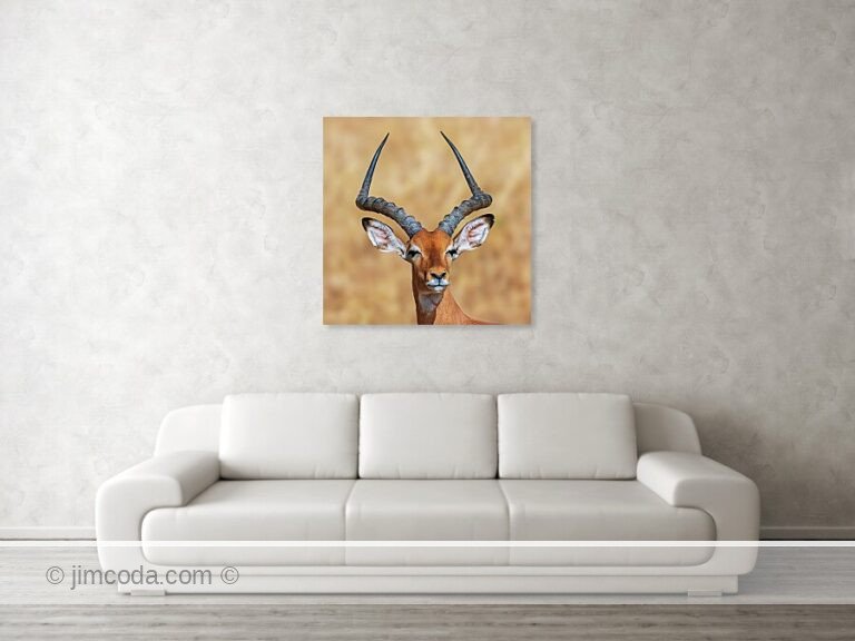 Fine art photo print example in living room