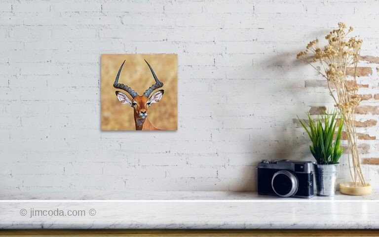Fine art photo print example in living room