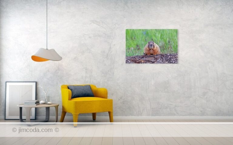 Fine art photo print example in living room