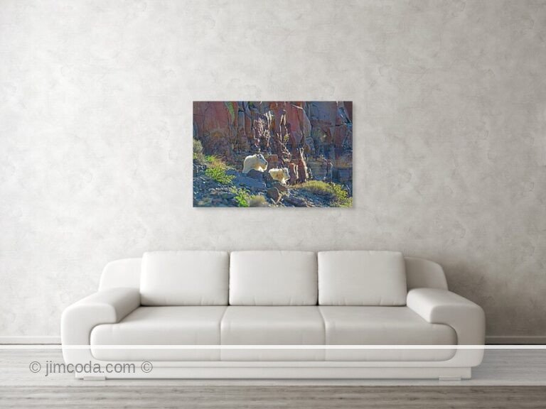 Fine art photo print example in living room