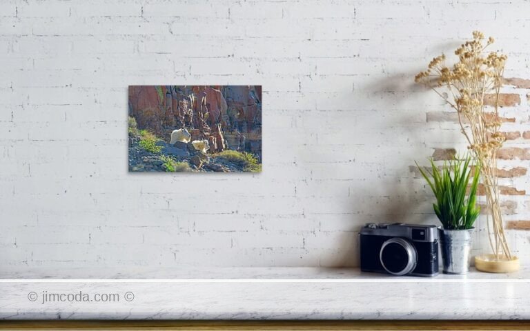 Fine art photo print example in living room