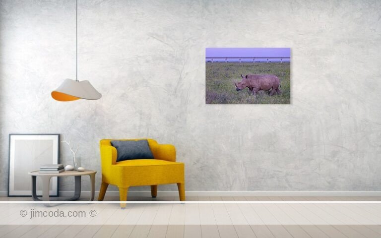 Fine art photo print example in living room