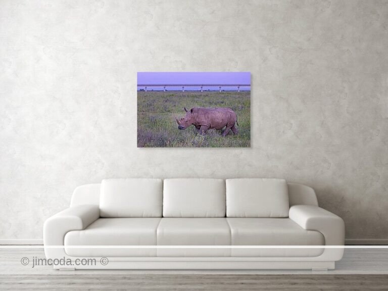 Fine art photo print example in living room