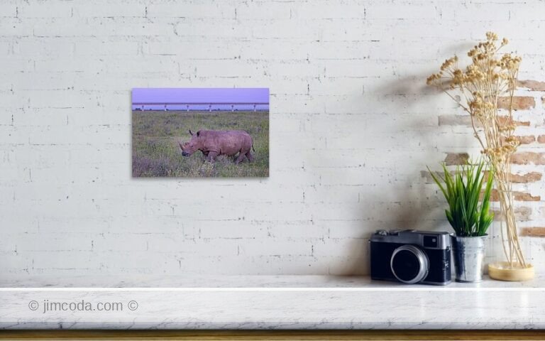 Fine art photo print example in living room