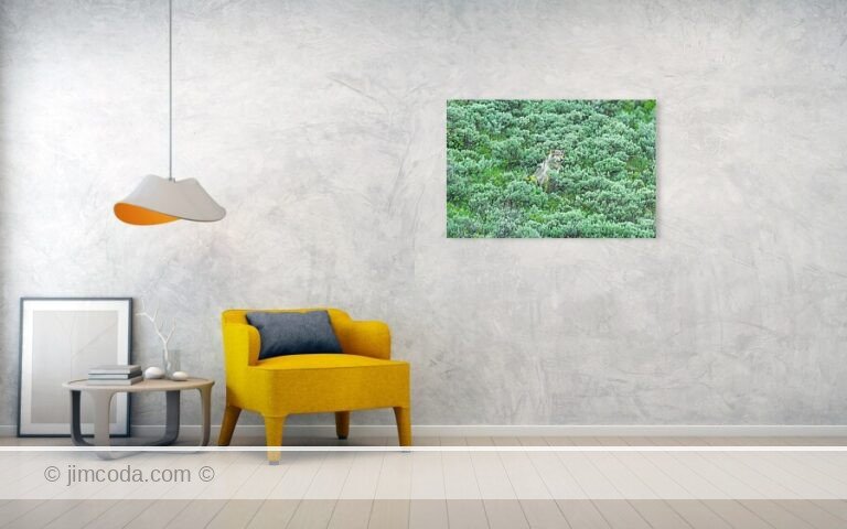 Fine art photo print example in living room