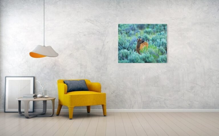 Fine art photo print example in living room