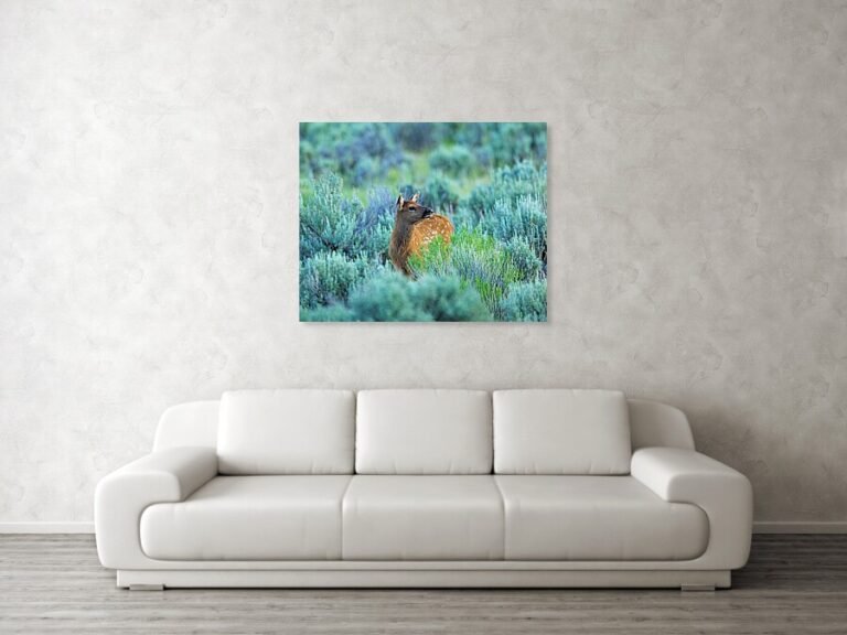 Fine art photo print example in living room