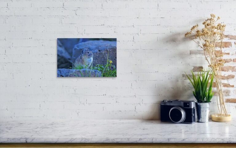 Fine art photo print example in living room
