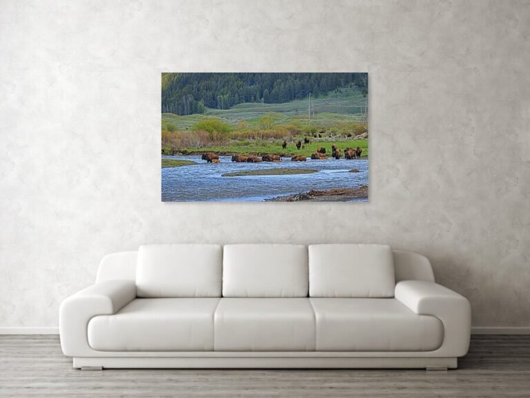 Fine art photo print example in living room