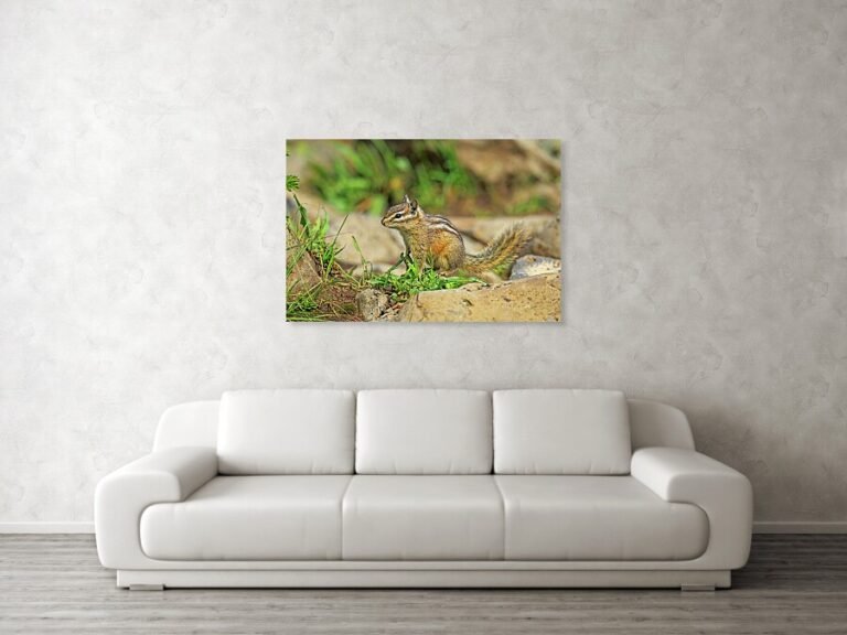 Fine art photo print example in living room