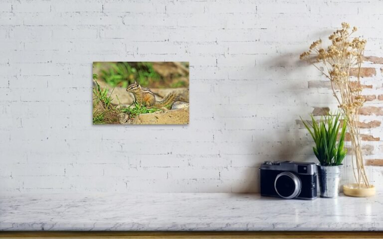 Fine art photo print example in living room