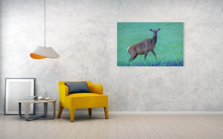 Fine art photo print example in living room