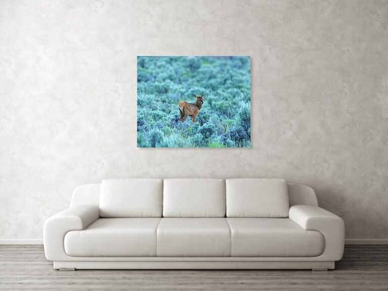Fine art photo print example in living room