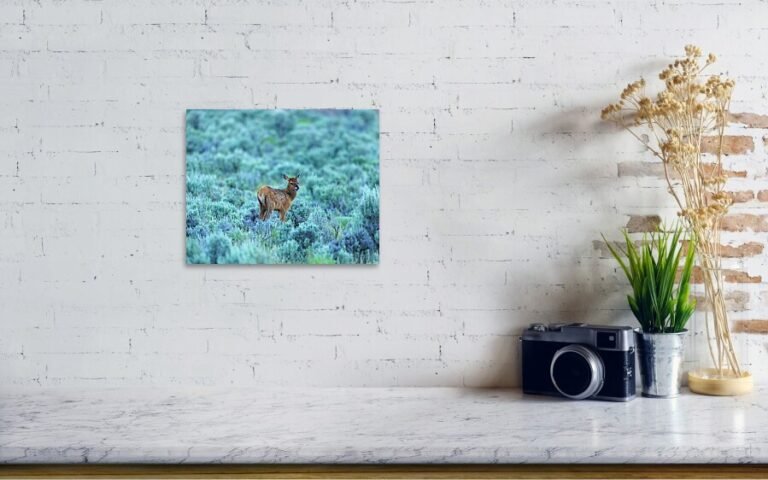 Fine art photo print example in living room