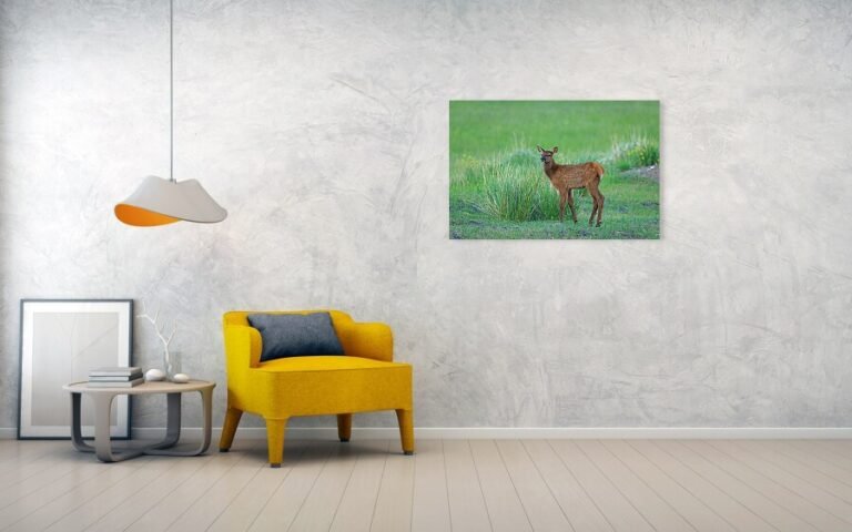 Fine art photo print example in living room