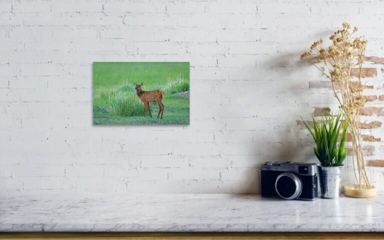 Fine art photo print example in living room