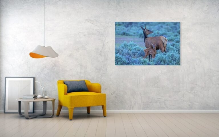 Fine art photo print example in living room