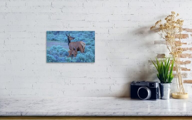 Fine art photo print example in living room