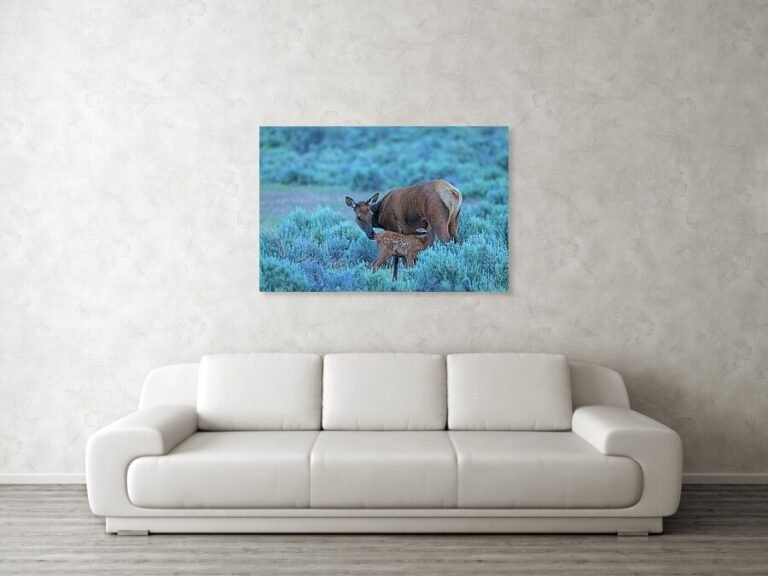 Fine art photo print example in living room