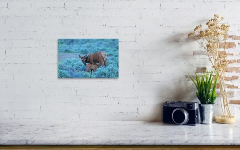 Fine art photo print example in living room
