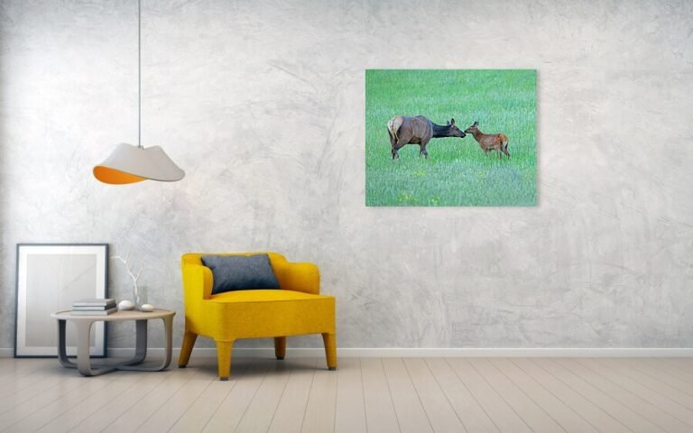 Fine art photo print example in living room