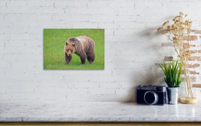 Fine art photo print example in living room