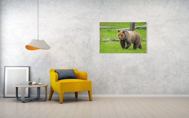 Fine art photo print example in living room