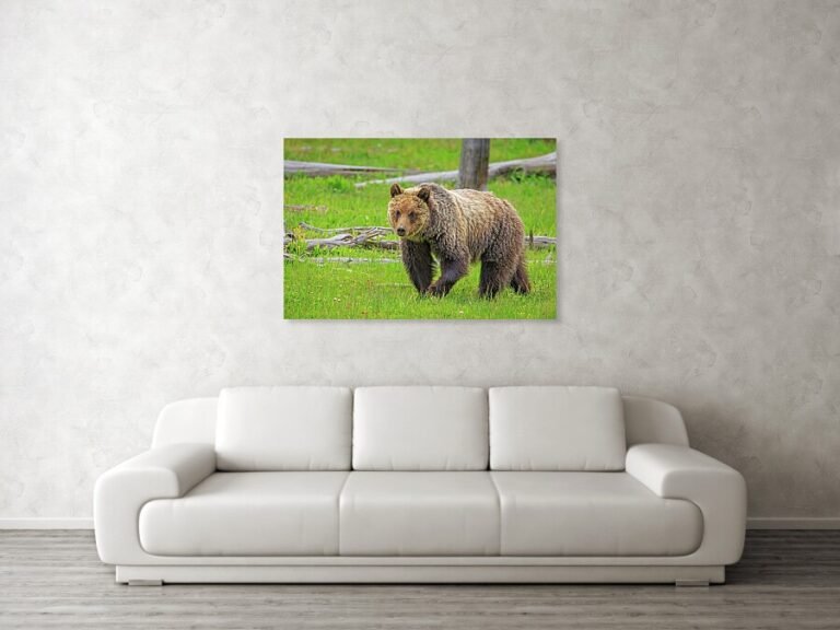 Fine art photo print example in living room