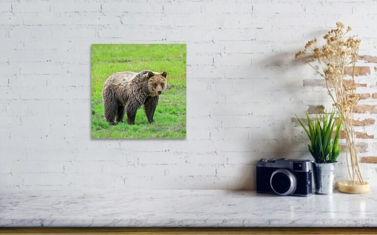 Fine art photo print example in living room