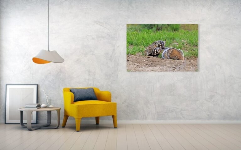 Fine art photo print example in living room