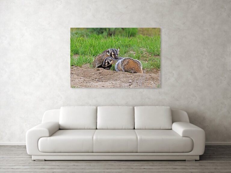 Fine art photo print example in living room